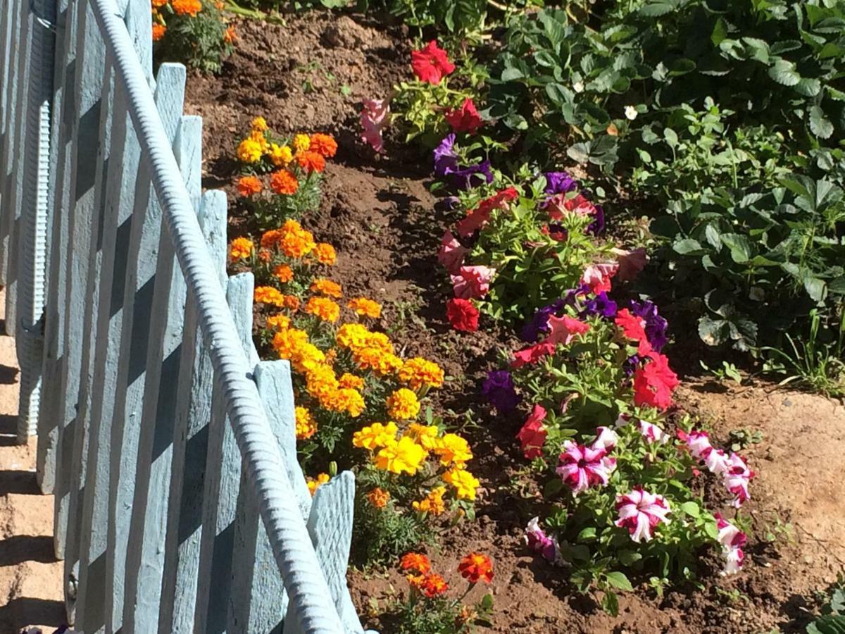 Eco House Summer Garden Kaji-Say エクステリア 写真