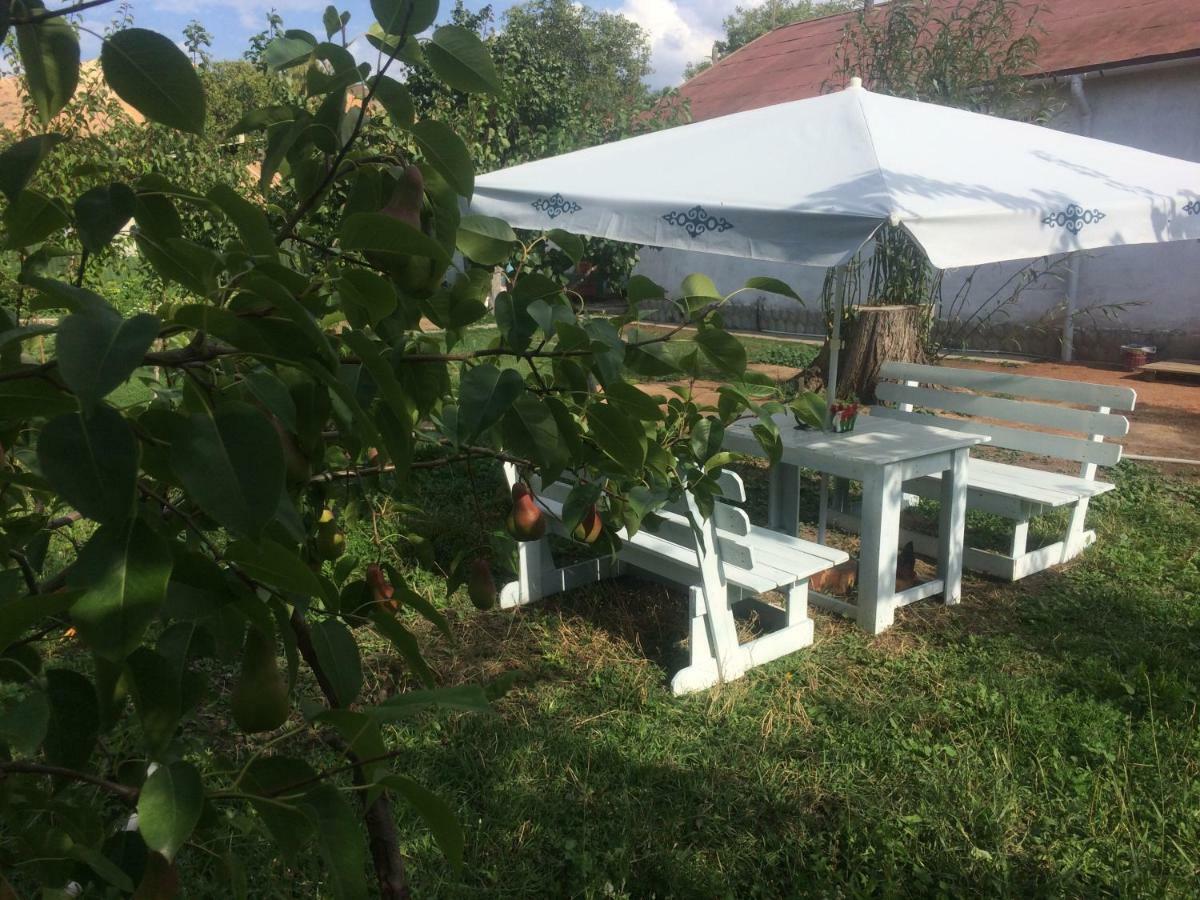 Eco House Summer Garden Kaji-Say エクステリア 写真